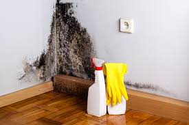 Best Mold Damage Restoration  in Bethany, OR